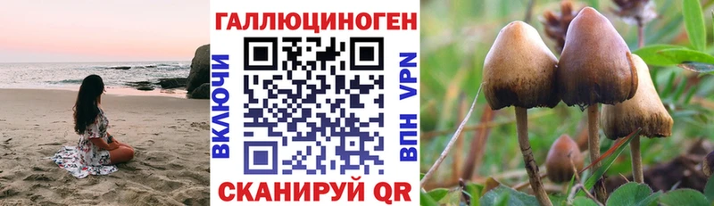 Псилоцибиновые грибы мицелий Пересвет